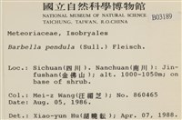 多疣懸蘚藏品圖，第2張