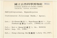 登錄號:B00003221藏品圖，第2張