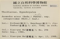 登錄號:B00003222藏品圖，第2張