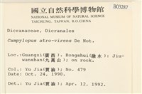登錄號:B00003287藏品圖，第2張