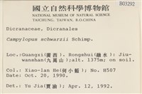 登錄號:B00003293藏品圖，第2張