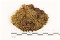 登錄號:B00003296藏品圖，第1張