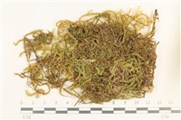 登錄號:B00003307藏品圖，第1張