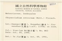登錄號:B00003314藏品圖，第2張