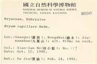 細葉真蘚藏品圖，第2張