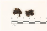 登錄號:B00003366藏品圖，第1張