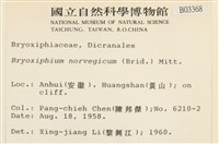 蝦蘚藏品圖，第2張