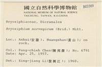 蝦蘚藏品圖，第2張