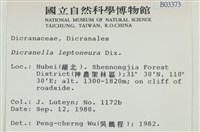 登錄號:B00003373藏品圖，第2張