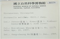 登錄號:B00003374藏品圖，第2張
