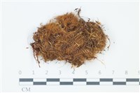 登錄號:B00003374藏品圖，第1張