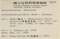 沼澤皺蒴蘚藏品圖，第2張