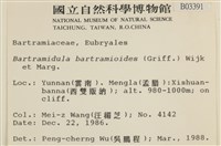 登錄號:B00003391藏品圖，第2張