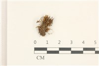 登錄號:B00003391藏品圖，第1張