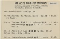 登錄號:B00003392藏品圖，第2張