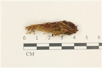 登錄號:B00003392藏品圖，第1張