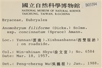 登錄號:B00003394藏品圖，第2張