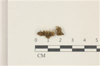 登錄號:B00003394藏品圖，第1張