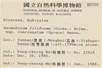 登錄號:B00003395藏品圖，第2張