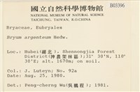 真蘚藏品圖，第2張