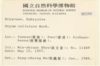 登錄號:B00003398藏品圖，第2張