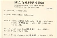 蕊形真蘚藏品圖，第2張