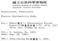 葫蘆蘚藏品圖，第2張
