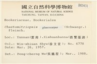 灰果蘚藏品圖，第2張