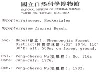 東亞孔雀蘚藏品圖，第2張