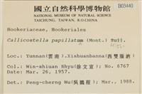 強肋蘚藏品圖，第2張