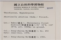 山羽蘚藏品圖，第2張