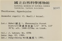 皺葉牛舌蘚藏品圖，第2張