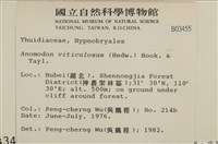 登錄號:B00003455藏品圖，第2張