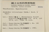 登錄號:B00003456藏品圖，第2張