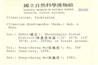 登錄號:B00003469藏品圖，第2張