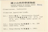 登錄號:B00003470藏品圖，第2張