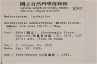 登錄號:B00003482藏品圖，第2張