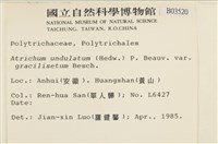 登錄號:B00003520藏品圖，第2張