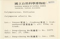 登錄號:B00003521藏品圖，第2張