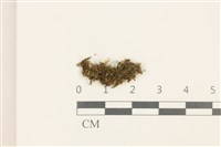 登錄號:B00003521藏品圖，第1張