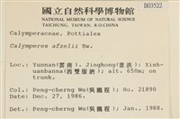 登錄號:B00003522藏品圖，第2張