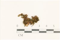 登錄號:B00003522藏品圖，第1張