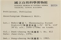 索氏叢本蘚藏品圖，第2張