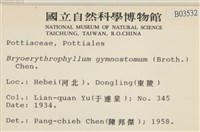 登錄號:B00003532藏品圖，第2張