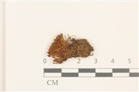 登錄號:B00003532藏品圖，第1張