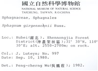 白齒泥炭蘚藏品圖，第2張