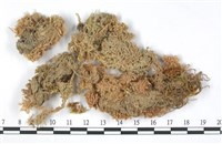 登錄號:B00003554藏品圖，第1張