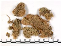登錄號:B00003554藏品圖，第3張