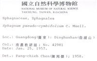 擬大泥炭蘚藏品圖，第2張