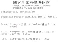 擬大泥炭蘚藏品圖，第2張